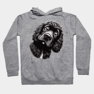 boykin spaniel confused Hoodie